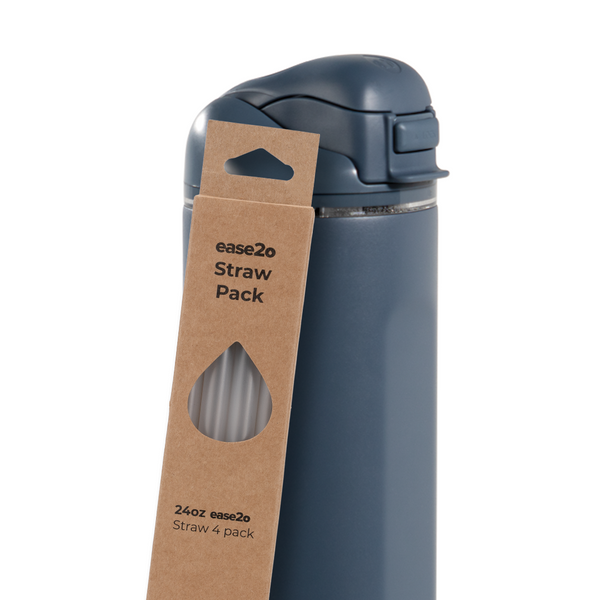Ease2o Straws 4 Pack 24oz S8